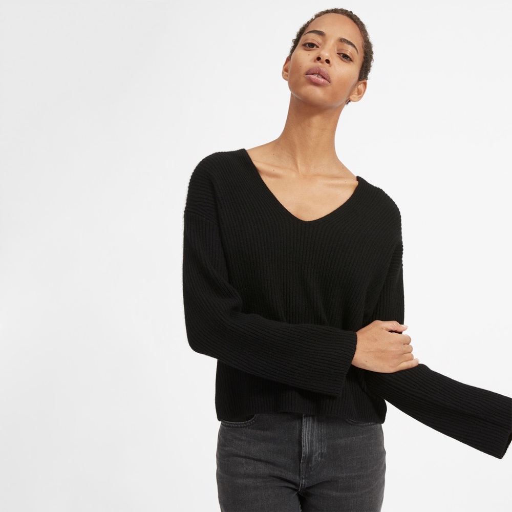 Everlane Cashmere Rib V-Neck Sweater